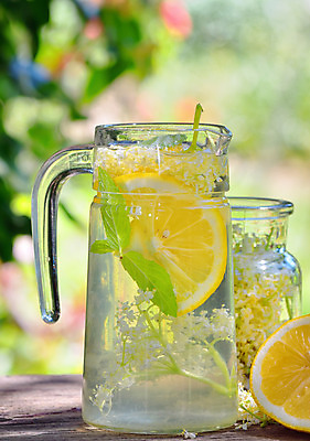 포토 JPG 해외이미지 식물 꽃 음료 조각 과일 자연 유리 귤 건강 사람없음 초록색 노란색 정원 주스 벚꽃 신선 달콤 맛 레몬 레모네이드 허브 상쾌 라임 테라피 해외202004 해외포토 감정 컬러 컨셉 재질 뷰티 생태계 에이드 파일형식 이미지허브