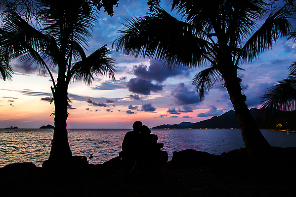 포토 JPG 해외이미지 커플 행복 실루엣 바다 여행 휴가 함께함 성인 야외 두명 파란색 야자수 일몰 성인만 해외202004 해외포토 나무 감정 컬러 컨셉 관계 촬영기법 사람 노을 파일형식 이미지허브