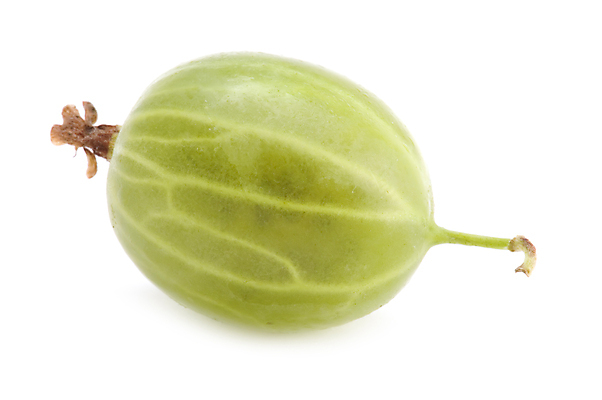 포토 JPG 해외이미지 열매 음식 다이어트 과일 디저트 사람없음 쌓기 주스 달콤 잼 먹기 묘사 젤리 고립 구스베리 해외202004 해외포토 식물 음료 모션 건강 소스_음식 맛 파일형식 이미지허브