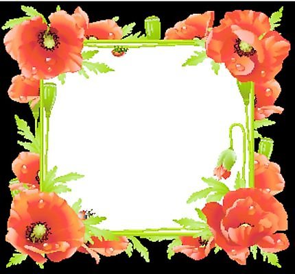 EPS 해외이미지 식물 디자인 배너 계절 꽃 백그라운드 꽃무늬 패턴 밭 일러스트 자연 벽지 프레임 미술 장식 빨간색 초록색 빛 봄 수확 벚꽃 흰색 인사 신용카드 모서리 벌레 이슬 허브 딱정벌레 심볼 그림 무당벌레 양귀비 뼈대 내추럴 고립 엘리먼트 해외202004 해외일러스트 컬러 곤충 무늬 농업 문화예술 금융 예절 생태계 파일형식 벡터 이미지허브