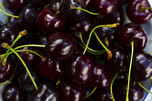 포토 JPG 해외이미지 식기 열매 음식 다이어트 과일 재료 자연 주방용품 디저트 사람없음 야외 목재 빨간색 여름 빛 정원 흰색 신선 체리 사발 달콤 컨테이너 유혹 먹기 가득함 상쾌 유기농 날것 흙더미 숙성 채식주의자 해외202004 비건음식 해외포토 나무 식물 웰빙 계절 감정 산업 컬러 생활용품 컨셉 모션 건강 흙 사기그릇 맛 생태계 채식 파일형식 더미 비건 이미지허브