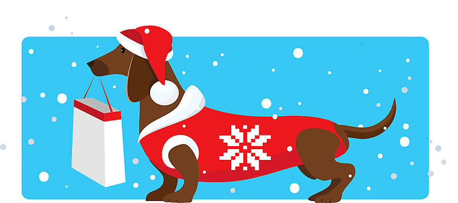 EPS 해외이미지 동물 계절 실루엣 크리스마스 겨울 가방 일러스트 휴가 새로움 선물 장식 빨간색 파란색 반려동물 쇼핑 갈색 세일 놀람 우정 흰색 축하 인사 눈송이 강아지 주식 12월 만화 연도 사냥개 송곳니 기르기 해외202004 해외일러스트 잡화 기념일 감정 컬러 컨셉 눈_날씨 촬영기법 표정 금융 친구 예절 날짜 개 치아 돌봄 파일형식 벡터 이미지허브