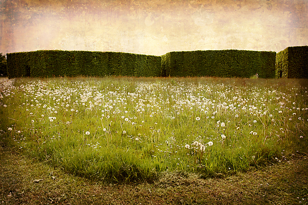 포토 JPG 해외이미지 공원 곡선 덴마크 창조 잔디 사람없음 야외 가로 울타리 햇빛 정원 방 수확 골동품 도시 시간 얼룩 복고 엽서 스크래치 그런지 썩음 옛날 스타일 해외202004 해외포토 식물 공공시설 선 농업 북유럽 담장 태양 편지 파일형식 이미지허브