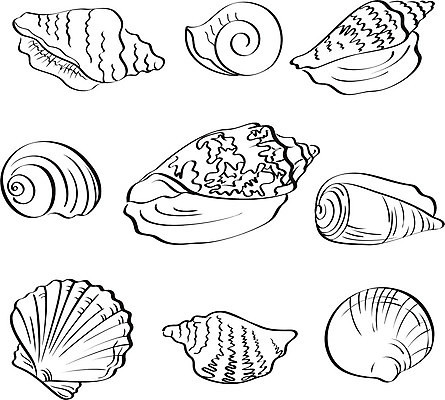 EPS 해외이미지 모양 동물 디자인 실루엣 음식 바다 백그라운드 일러스트 자연 조개 연체동물 흑백 해변 그래픽 물 세트 숫자 검은색 껍질 흰색 그룹 소라 인쇄 자르기 수집 문신 오브젝트 그림 달팽이 윤곽 수족관 가리비 내추럴 고립 앵무조개 엘리먼트 해외202004 해외일러스트 자연요소 문자 컬러 모션 어패류 무척추동물 촬영기법 생태계 파일형식 벡터 이미지허브