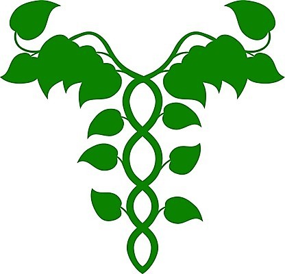 EPS 해외이미지 나무 식물 과학 잎 일러스트 자연 추상 건강 그래픽 초록색 약 정원 의사 성장 나뭇가지 마사지 가르침 DNA 생명공학 허브 심볼 사인 유기농 포도나무 보충 더블 마약 유전 자연요법 총쏘기 치료제 해외202004 해외일러스트 웰빙 교육 컬러 무늬 의학 모션 의료진 과일나무 생태계 파일형식 벡터 이미지허브