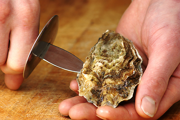 포토 JPG 해외이미지 음식 사람없음 껍질 굴 해산물 날것 홍합 해외202004 해외포토 어패류 파일형식 이미지허브