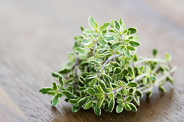 포토 JPG 해외이미지 식물 음식 잎 재료 건강 요리 사람없음 초록색 약 주방 정원 흰색 나뭇가지 신선 양념 그룹 다발 수집 허브 향신료 향료 고립 백리향 해외202004 해외포토 나무 컬러 의학 향기 냄새 향미료 파일형식 이미지허브