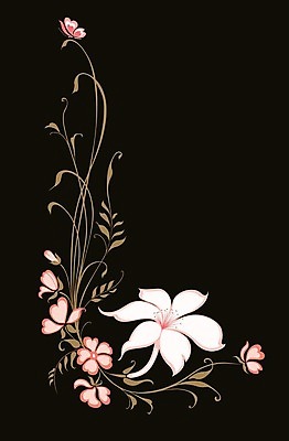 EPS 해외이미지 디자인 꽃 실루엣 선 줄기 분홍색 꽃다발 나비 결혼 백그라운드 잎 꽃무늬 패턴 일러스트 자연 추상 프레임 미술 그래픽 장식 세로 여름 유행 검은색 봄 흰색 나뭇가지 직물 신용카드 화려 황금 사과 인쇄 백합 복고 엽서 초대 고립 구성 스타일 세련 해외202004 해외일러스트 나무 식물 계절 컬러 곤충 컨셉 무늬 과일 문화예술 촬영기법 이벤트 금융 편지 생태계 파일형식 벡터 이미지허브