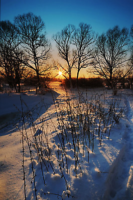 포토 JPG 해외이미지 나무 계절 공원 여행 크리스마스 겨울 오렌지 자연 하늘 날씨 풍경 사람없음 야외 빨간색 파란색 빛 강 컬러풀 햇빛 태양 일출 냉동 얼음 황혼 일몰 새벽 추위 흰색 나뭇가지 시골 황무지 저녁 숲 12월 역동적 서리 장면 북쪽 1월 내추럴 눈내림 해외202004 해외포토 자연요소 식물 공공시설 기념일 컬러 컨셉 과일 눈_날씨 노을 날짜 야간 방향 생태계 파일형식 이미지허브