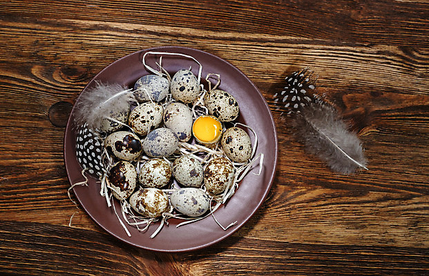 포토 JPG 해외이미지 접시 디자인 음식 백그라운드 패턴 다이어트 재료 자연 조류 건강 사람없음 목재 갈색 계란 봄 수확 흰색 시골 신선 아침식사 상품 작음 유기농 질감 날것 내추럴 메추리 해외202004 해외포토 나무 동물 식기 웰빙 계절 컬러 무늬 농업 알 식사 크기 생태계 파일형식 이미지허브