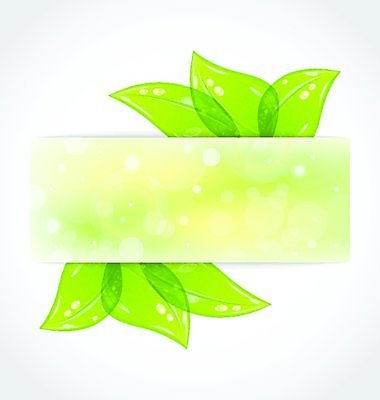 EPS 해외이미지 식물 디자인 배너 종이 백그라운드 스티커 잎 패턴 일러스트 자연 추상 아이디어 미술 그래픽 장식 초록색 여름 우주 쪽지 봄 공백 성장 신선 신용카드 메시지 떨어짐 이슬 심볼 사인 에코 유기농 땀 보케 시트 고립 바이오 생태학 슬라이드 어려움 엘리먼트 스타일 효과 해외202004 해외일러스트 웰빙 계절 교육 컬러 컨셉 무늬 문화예술 금융 환경 생태계 파일형식 벡터 이미지허브