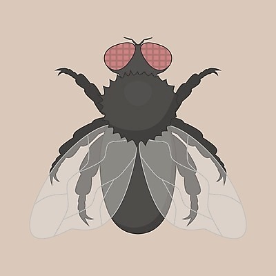 EPS 해외이미지 식물 동물 캐릭터 디자인 곤충 백그라운드 일러스트 자연 안테나 미술 그래픽 검은색 플랫 숲 만화 오브젝트 해외202004 해외일러스트 일러캐릭터 컬러 통신 문화예술 생태계 파일형식 벡터 이미지허브