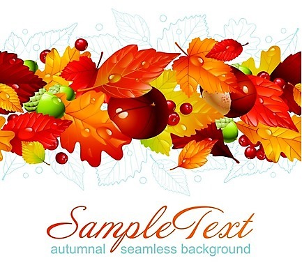 EPS 해외이미지 나무 디자인 배너 계절 공원 실루엣 백그라운드 단풍 잎 꽃무늬 패턴 오렌지 일러스트 자연 벽지 프레임 건조 장식 빨간색 노란색 세일 가을 황금 닫기 떨어짐 질감 도토리 자작나무 정맥 내추럴 아카시아 고립 포장소품 해외202004 해외일러스트 식물 공공시설 꽃 컬러 컨셉 무늬 과일 포장 모션 촬영기법 견과류 오브젝트 생태계 혈관 포장재료 파일형식 벡터 이미지허브