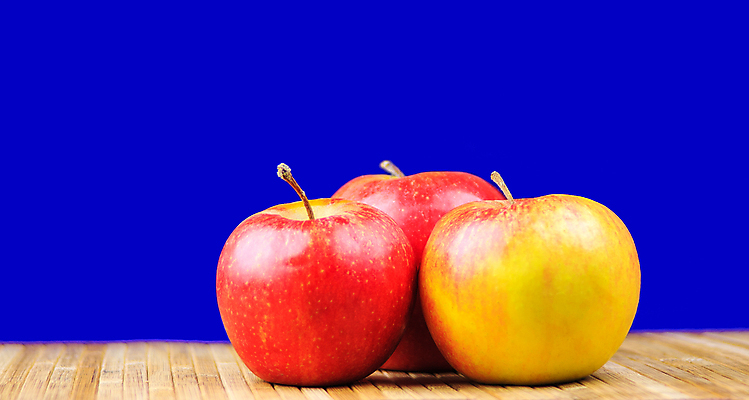 포토 JPG 해외이미지 식기 접시 선 음식 조각 포크 과일 탁자 표면 건강 미술 사람없음 목재 가로 빨간색 파란색 수건 주방 식당 카페 수확 식탁보 흰색 칼 사과 배열 대나무 질감 냅킨 복고 그런지 백자 식용 옛날 정물화 카피스페이스 해외202004 해외포토 나무 컬러 가구 농업 재료 문화예술 위생용품 상점 공백 도자기 그림 파일형식 이미지허브