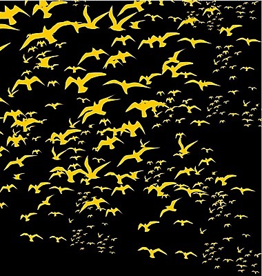 EPS 해외이미지 모양 동물 계절 실루엣 야생동물 날개 일러스트 가족 자연 갈매기 조류 하늘 휴가 휴식 종류 그림자 야외 여름 세트 자유 그리기 그룹 공작 숲 왜가리 문신 심볼 깃털 비둘기 앵무새 윤곽 독수리 철사 까마귀 해외202004 해외일러스트 컨셉 관계 모션 촬영기법 생태계 파일형식 벡터 이미지허브