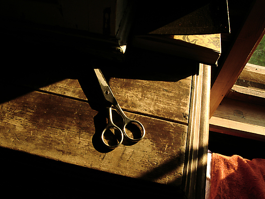 포토 JPG 해외이미지 자연 사람없음 숲 생태학 해외202004 해외포토 교육 생태계 파일형식 이미지허브