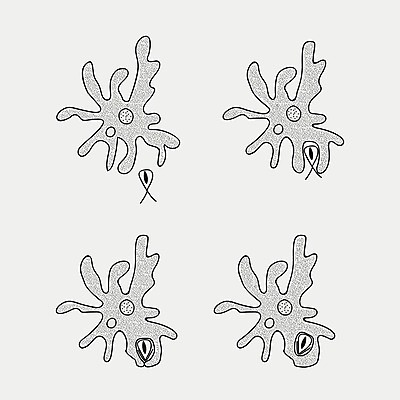 EPS 해외이미지 모양 과학 백그라운드 일러스트 생물 세포 건강 병원 약 바이러스 질병 생물학 감염 전염 미생물 문제 테라피 박테리아 돌봄 면역력 염증 전염병 해외202004 해외일러스트 교육 의학 모션 뷰티 파일형식 벡터 이미지허브