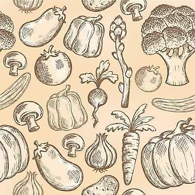 EPS 해외이미지 디자인 음식 백그라운드 다이어트 토마토 채소 일러스트 재료 호박 가지 오이 감자 건강 마늘 미술 그래픽 당근 신선 그리기 브로콜리 만화 그림 아스파라거스 박 후추 내추럴 세피아 총각무 스타일 해외202004 해외일러스트 모션 문화예술 뿌리채소 촬영기법 무 향신료 파일형식 벡터 향미료 양념 이미지허브