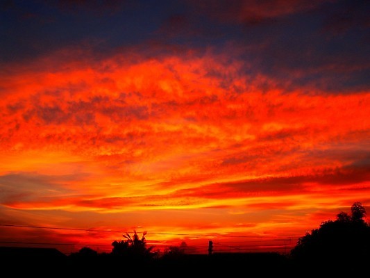 포토 JPG 해외이미지 구름 백그라운드 오렌지 자연 하늘 추상 풍경 사람없음 빨간색 파란색 세트 컬러풀 햇빛 노란색 평화 환경 일몰 활발 회색 흰색 분위기 저녁 수집 모음 천국 흐림 특별함 폭풍우 많음 해외202004 해외포토 자연요소 컬러 컨셉 무늬 과일 날씨 한글 태양 노을 비_날씨 야간 자연재해 생태계 파일형식 이미지허브