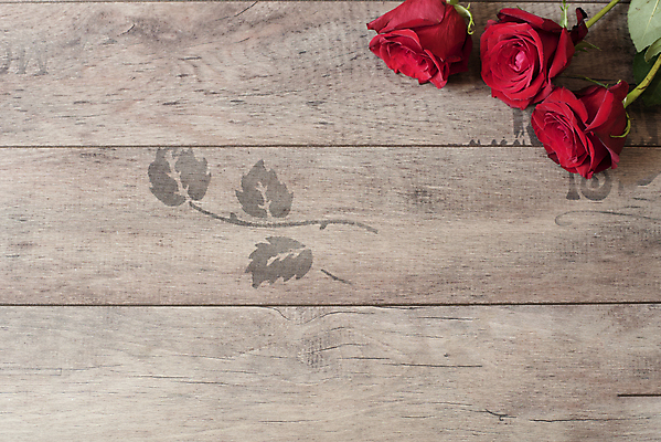 포토 JPG 해외이미지 식물 계절 꽃잎 꽃 꽃다발 결혼 백그라운드 잎 꽃무늬 자연 벽지 결혼식 프레임 발렌타인데이 선물 사랑 미술 사람없음 목재 장식 가로 빨간색 여름 장미 우주 봄 수확 벚꽃 나뭇가지 시골 신용카드 개화 구성 카피스페이스 해외202004 해외포토 나무 감정 컬러 무늬 농업 재료 데이이벤트 문화예술 이벤트 금융 공백 생태계 파일형식 이미지허브