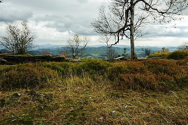 포토 JPG 해외이미지 나무 계절 공원 여행 백그라운드 잎 오렌지 자연 하늘 산 파노라마 풍경 사람없음 야외 목재 빨간색 초록색 컬러풀 노란색 계곡 가을 바위 숲 언덕 내추럴 전국 해외202004 해외포토 식물 공공시설 컬러 과일 재료 촬영기법 돌_바위 생태계 파일형식 이미지허브
