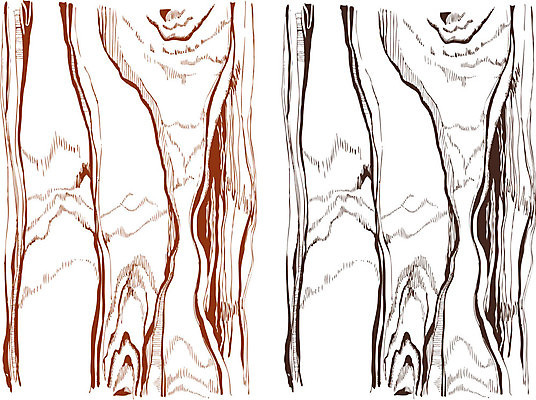 EPS 해외이미지 나무 식물 디자인 계절 야생동물 백그라운드 패턴 일러스트 자연 탁자 표면 추상 잉크 흑백 목재 그래픽 장식 펜 흰색 반지 소나무 널 숲 자르기 그림 유기농 질감 생물학 나무껍질 판화 내추럴 수목 옛날 해외202004 해외일러스트 동물 웰빙 교육 컬러 가구 무늬 재료 장신구 모션 촬영기법 미술 필기구 껍질 생태계 파일형식 벡터 이미지허브