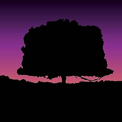 EPS 해외이미지 나무 실루엣 일러스트 자연 풍경 평화 우주 보라색 검은색 황혼 일몰 고독 저녁 심플 혼자 수평선 카피스페이스 해외202004 해외일러스트 식물 감정 컬러 컨셉 촬영기법 노을 공백 야간 생태계 파일형식 벡터 이미지허브