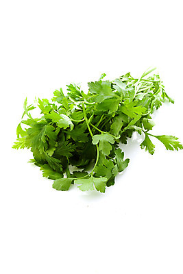 포토 JPG 해외이미지 음식 잎 다이어트 채소 재료 파슬리 건강 사람없음 반사 흰색 허브 유기농 아로마 향 성분 고립 채식주의자 해외202004 해외포토 식물 웰빙 컬러 채식 파일형식 이미지허브
