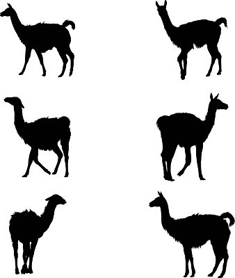 EPS 해외이미지 동물 캐릭터 디자인 실루엣 야생동물 백그라운드 일러스트 포유류 자연 생물 털 동물원 서기 그래픽 세트 검은색 미국 흰색 만화 모피 자르기 수집 심볼 그림 솜털 양모 고립 라마 알파카 초식 페루 디테일 해외202004 해외일러스트 일러캐릭터 컬러 북아메리카 모션 촬영기법 직물 남아메리카 생태계 파일형식 벡터 이미지허브