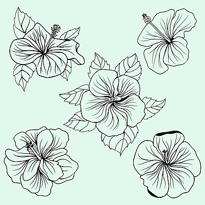 EPS 해외이미지 식물 손 디자인 꽃 선 백그라운드 잎 꽃무늬 패턴 일러스트 자연 미술 그래픽 장식 책 세트 검은색 벚꽃 낙서 문신 그림 윤곽 페이지 고립 엘리먼트 이국적 히비스커스 해외202004 해외일러스트 컬러 무늬 문화예술 신체부위 생태계 파일형식 벡터 이미지허브