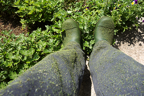포토 JPG 해외이미지 라이프스타일 백그라운드 신발 컨셉 2 농업 발 노동자 부츠 안전 사람없음 초록색 농장 정원 장비 시골 쌍 농부 플라스틱 원예 먼지 고무 땅바닥 방수 밭일 양발 원예사 중고 해외202004 해외포토 직업 산업 컬러 재질 바닥 취미 생활 신체부위 파일형식 이미지허브