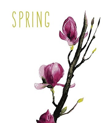 EPS 해외이미지 나무 꽃잎 꽃 백그라운드 잎 꽃무늬 일러스트 수채화 사람없음 물 닫기 목련 취급주의 해외202004 해외일러스트 자연요소 식물 무늬 모션 경고 파일형식 벡터 이미지허브