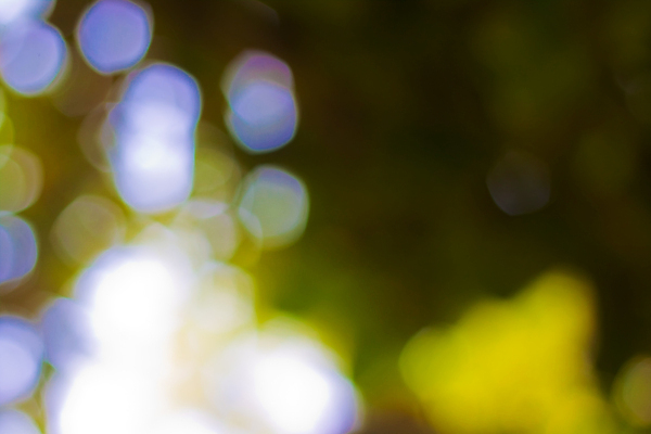 포토 JPG 해외이미지 디자인 행복 별 분홍색 백그라운드 추상 미술 사람없음 장식 파란색 반짝임 노란색 원형 화려 우아함 소프트포커스 심볼 보케 빛망울 엘리먼트 해외202004 해외포토 자연요소 도형 감정 컬러 컨셉 무늬 모션 문화예술 촬영기법 빛 파일형식 이미지허브