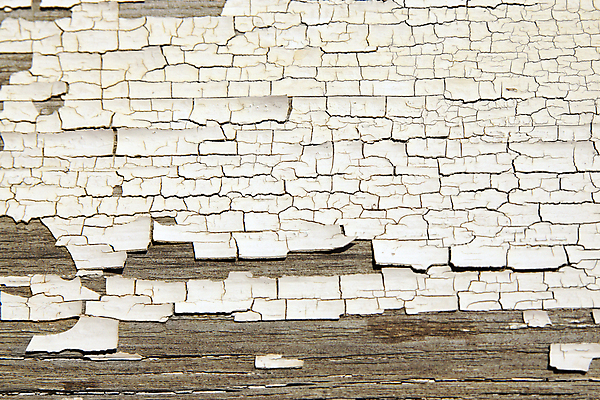 포토 JPG 해외이미지 벽 백그라운드 패턴 벽지 표면 날씨 추상 사람없음 목재 페인트 손상 수확 골동품 껍질 흰색 거친 떨어짐 버리기 묘사 질감 구식 그런지 수목 썩음 옛날 노화 해외202004 해외포토 나무 컬러 컨셉 무늬 농업 재료 모션 파일형식 이미지허브