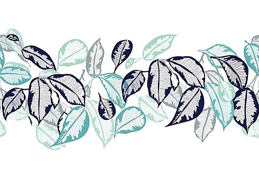 EPS 해외이미지 나무 식물 디자인 실루엣 백그라운드 잎 패턴 일러스트 자연 벽지 추상 손바닥 미술 그래픽 장식 초록색 유행 정원 수확 벚꽃 흰색 직물 신용카드 숲 인쇄 열대우림 타일 그림 질감 복고 하와이 내추럴 포장소품 하와이인 알로하 해외202004 해외일러스트 외국인 손 꽃 컬러 무늬 농업 포장 문화예술 촬영기법 금융 미국 인사 오브젝트 생태계 포장재료 파일형식 벡터 이미지허브