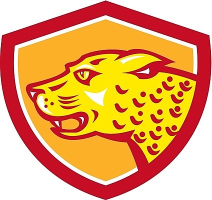 EPS 해외이미지 동물 야생동물 일러스트 그래픽 머리 고양이 복고 방패 표범 재규어 해외202004 해외일러스트 포유류 신체부위 반려동물 파일형식 벡터 이미지허브