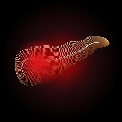 EPS 해외이미지 모델 디자인 포스터 신체 일러스트 해부 엑스레이 건강 미술 사람 내부 그래픽 약 흰색 오르간 질병 만화 심볼 그림 생물학 시스템 방광 췌장 고립 당뇨병 돌봄 복근 엘리먼트 포도당 해외202004 해외일러스트 교육 컬러 의학 모션 근육 문화예술 장기_의학 건반악기 비뇨기관 파일형식 벡터 이미지허브