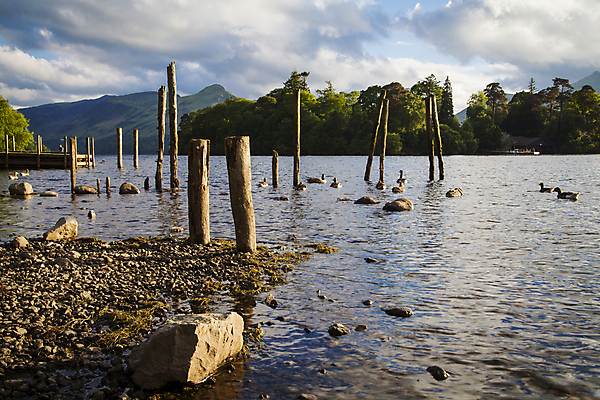 포토 JPG 해외이미지 영어 공원 호수 여행 하늘 휴가 영국 잉글랜드 풍경 사람없음 목재 물 항구 무대 시골 보트 방파제 지역 노젓기 전국 착륙 컴브리아주 해외202004 해외포토 자연요소 나무 문자 공공시설 유럽 배_교통 재료 교통시설 모션 파일형식 이미지허브