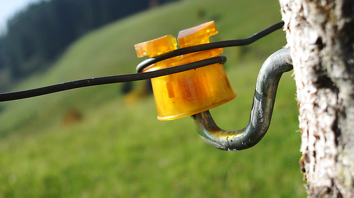 포토 JPG 해외이미지 날씨 추상 경비 사람없음 울타리 농장 블록 자유 위험 거절 철 감옥 부식 날카로움 철사 충격 나누기 유지 고립 그런지 무료 밭일 부정 죄수 철강 해외202004 해외포토 컨셉 무늬 농업 안전 담장 보호 파일형식 이미지허브