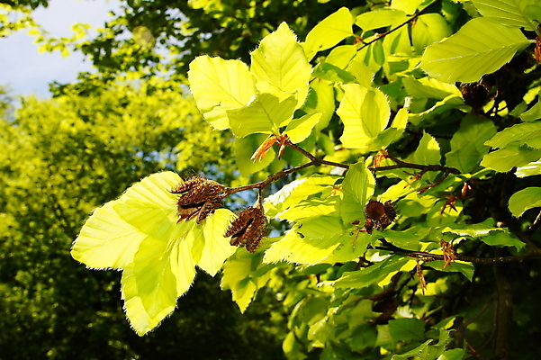 포토 JPG 해외이미지 사람없음 해외202004 해외포토 파일형식 이미지허브