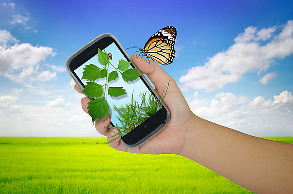 포토 JPG 해외이미지 나무 식물 구름 손 나비 잎 통신 자연 모바일 사람없음 초록색 스마트폰 스크린 시골 연결 전화기 무당벌레 셀룰러 해외202004 해외포토 자연요소 컬러 곤충 신체부위 핸드폰 스마트기기 생태계 파일형식 이미지허브