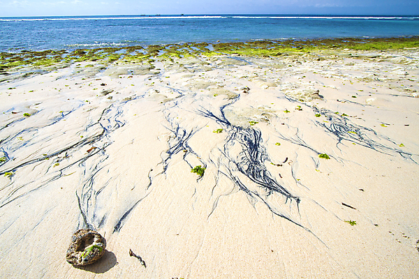 포토 JPG 해외이미지 나무 식물 모래 바다 섬 여행 백그라운드 자연 하늘 휴식 손바닥 풍경 사람없음 야외 물 여름 파란색 햇빛 태양 맑음 침묵 만 뜨거움 휴양지 발리 인도네시아 코코넛 석호 파라다이스 해외202004 해외포토 자연요소 손 계절 아시아 컬러 컨셉 과일 날씨 소리 장소 생태계 파일형식 이미지허브