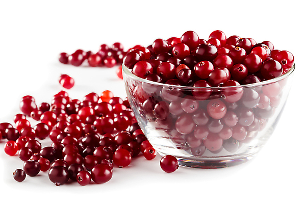 포토 JPG 해외이미지 식물 접시 열매 음식 백그라운드 다이어트 과일 공 자연 유리 디저트 건강 사람없음 빨간색 주스 가을 흰색 신선 달콤 숲 먹기 허브 날것 고립 크랜베리 해외202004 해외포토 식기 계절 음료 컬러 모션 재질 맛 생태계 파일형식 이미지허브