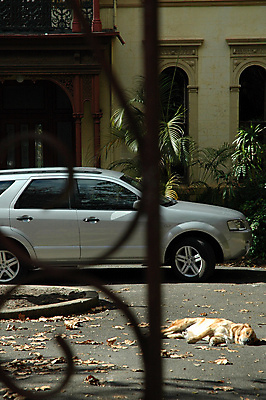 포토 JPG 해외이미지 건축양식 자동차 주택 사람없음 재산 고급 개 은퇴 대문 대출 사생활 소유 해외202004 해외포토 건축 육상교통 컨셉 포유류 건물 금융 문 파일형식 이미지허브