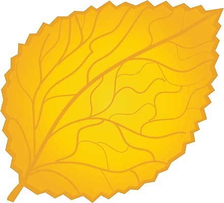 EPS 해외이미지 식물 디자인 계절 음식 빵 줄기 백그라운드 단풍 잎 꽃무늬 패턴 농업 오렌지 일러스트 자연 추상 프레임 옥수수 미술 목재 그래픽 장식 빨간색 초록색 세트 갈색 노란색 라벨 검은색 가을 흰색 황금 낟알 시리얼 밀 수집 심볼 유기농 질감 귀 내추럴 고립 엘리먼트 해외202004 해외일러스트 나무 웰빙 꽃 산업 컬러 무늬 과일 재료 문화예술 곡류 신체부위 생태계 파일형식 벡터 이미지허브