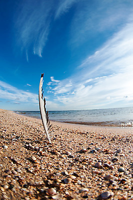 포토 JPG 해외이미지 구름 모래 파도 바다 여행 자연 하늘 바람 추상 풍경 사람없음 야외 여름 파란색 침묵 껍질 흰색 가장자리 심볼 깃털 싱글 해외202004 해외포토 자연요소 계절 컬러 무늬 날씨 소리 둘레 생태계 파일형식 이미지허브