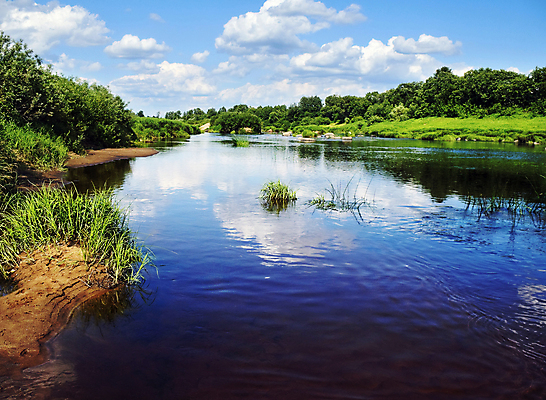 포토 JPG 해외이미지 나무 구름 지구 모래 섬 자연 하늘 날씨 휴식 풍경 사람없음 목재 여름 강 태양 침묵 시골 습지 숲 순수 즐거움 변소 생태학 해외202004 해외포토 자연요소 식물 계절 교육 감정 컨셉 재료 소리 생태계 파일형식 이미지허브