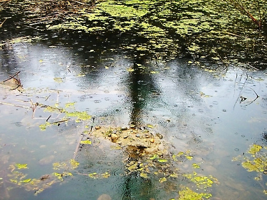 포토 JPG 해외이미지 호수 백그라운드 자연 풍경 사람없음 반사 가을 연못 질감 시트 타입 해외202004 해외포토 계절 생태계 파일형식 이미지허브