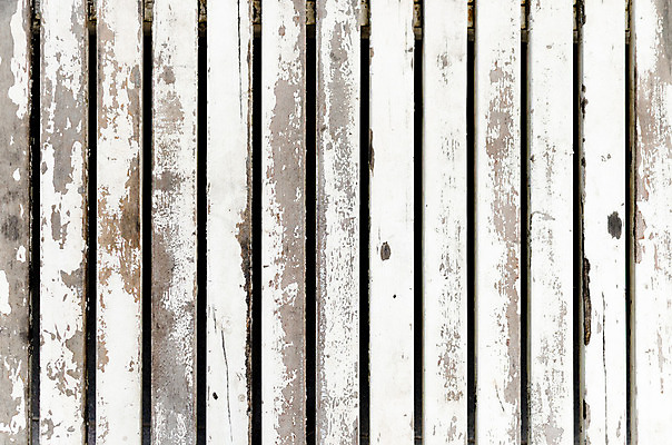 포토 JPG 해외이미지 식물 디자인 벽 백그라운드 패턴 자연 표면 날씨 추상 주택 외벽 사람없음 건물 목재 세로 울타리 줄무늬 골동품 흰색 소나무 판넬 거친 널 낟알 목수 질감 목공예 잡동사니 내추럴 그런지 사생활 수목 옛날 줄서기 해외202004 해외포토 나무 직업 건축물 컬러 무늬 재료 모션 담장 공예 생태계 파일형식 이미지허브