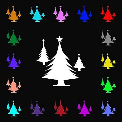 EPS 해외이미지 모양 나무 디자인 계절 실루엣 크리스마스 겨울 일러스트 자연 추상 휴가 새로움 선물 미술 목재 그래픽 장식 세트 수확 축하 소나무 신용카드 플랫 숲 연도 심볼 상록수 침엽수 전나무 고립 삼나무 가문비나무 해외202004 해외일러스트 식물 기념일 컨셉 무늬 농업 재료 문화예술 촬영기법 금융 생태계 파일형식 벡터 이미지허브